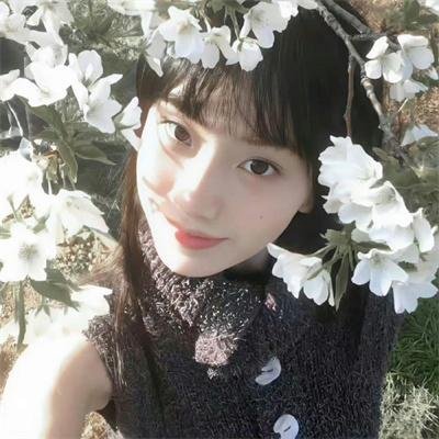 笨蛋的悲剧人生